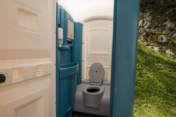 Best Affordable portable toilet rental  in Coleman, MI